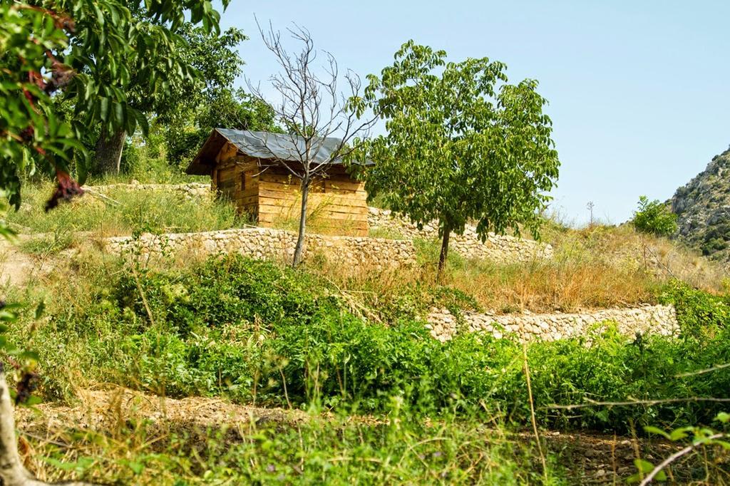 Molino Del Machero Puebla De Don Fadrique Eksteriør bilde